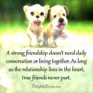 A strong friendship doesn't need daily conversation - Delightful Quotes